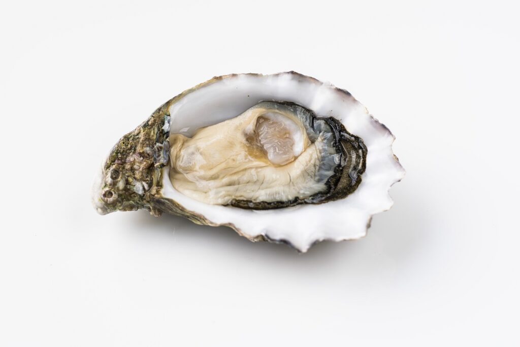 Do oysters really boost testosterone? Here is the science.